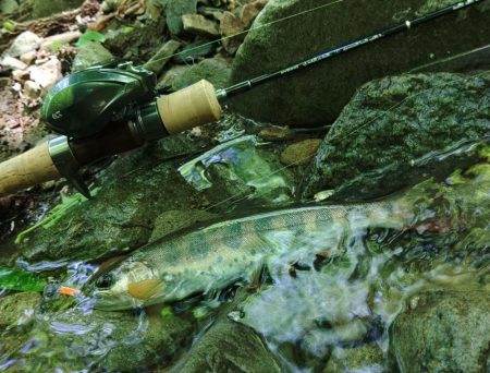 雨で増水した谷へ ～長良川水系～